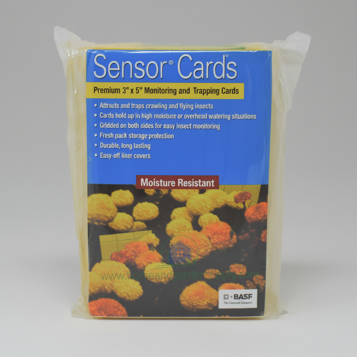 Sensor Yellow Sticky Cards For Monitoring Plant Insects by BASF