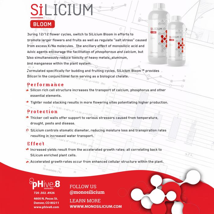 SiLicium Bloom