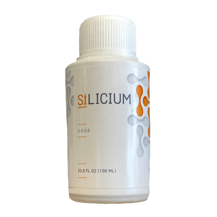 SiLicium Original