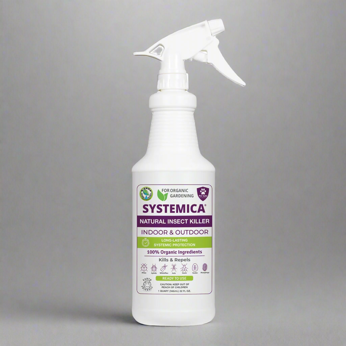 systemic indoor plant insecticide Systemica RTU Natural Insecticide with Sprayer - OMRI Listed