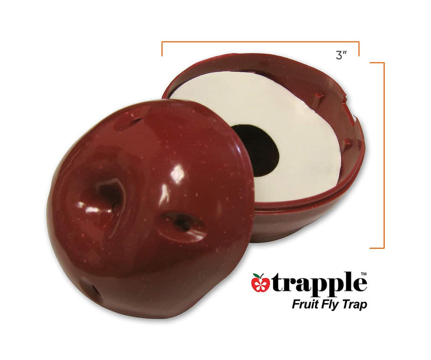 Trapple Fruit Fly Trap