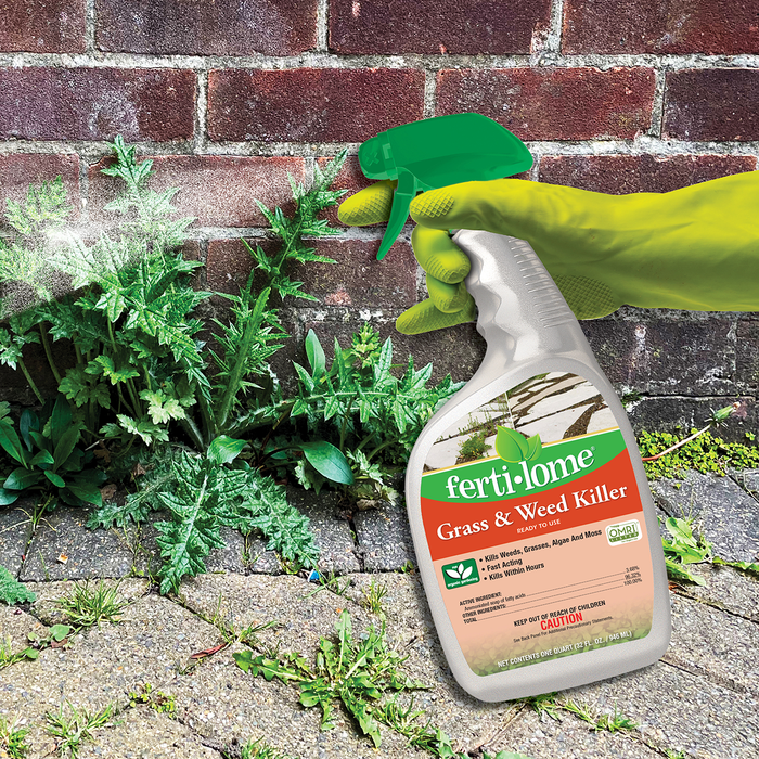 Ferti-lome Grass & Weed Killer RTU