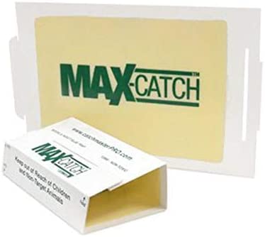 Catchmaster 72MAX Mouse Glue Board