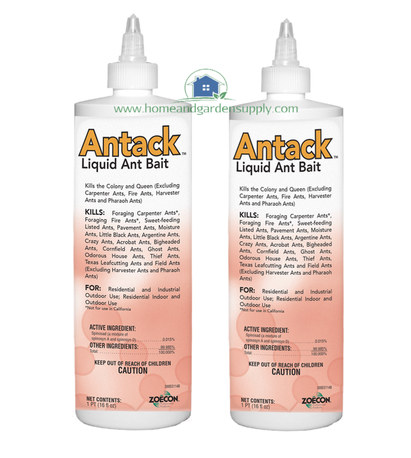 Antack Liquid Ant Bait