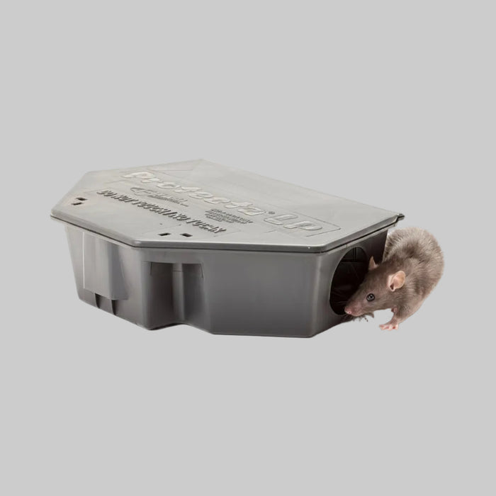 Protecta LP Rat Bait Station