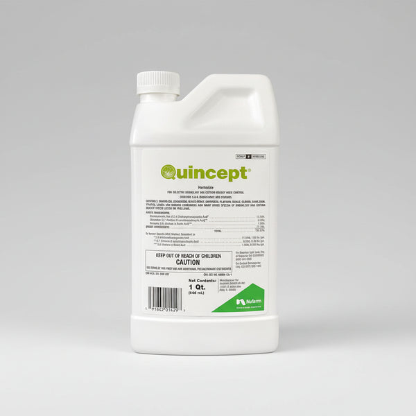 debut herbicide Quincept Herbicide